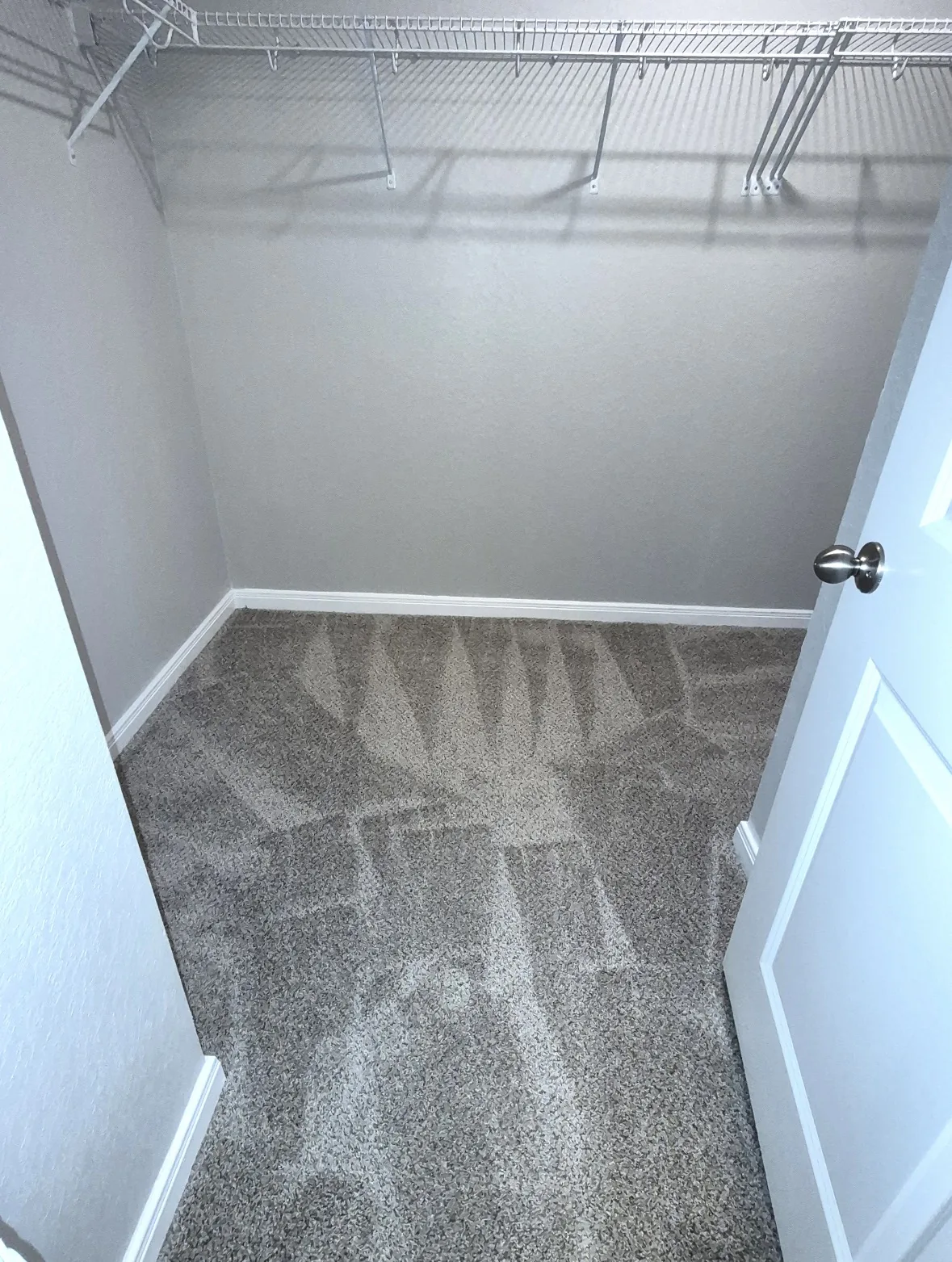 Carpet after vacuuming
